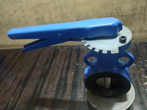 Wafer Type Butterfly Valve Exporter from Gujarat, India