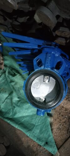 Wafer Type Butterfly Valve Exporter from Gujarat, India