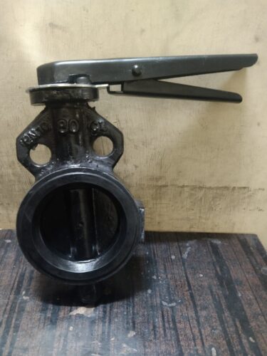 Wafer Type Butterfly Valve Exporter from Gujarat, India