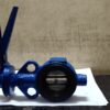 Wafer Type Butterfly Valve Exporter from Gujarat, India