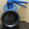 Wafer Type Butterfly Valve Exporter from Gujarat, India