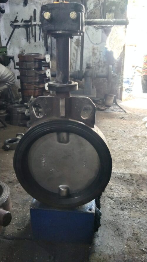 Wafer Type Butterfly Valve Exporter from Gujarat, India