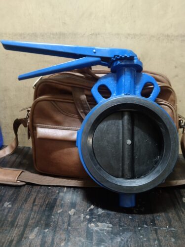 Wafer Type Butterfly Valve Exporter from Gujarat, India