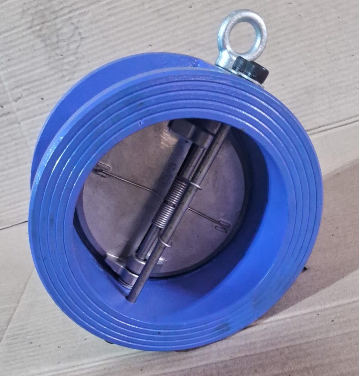 Dual Plate Check Valve Exporter from Gujarat, India