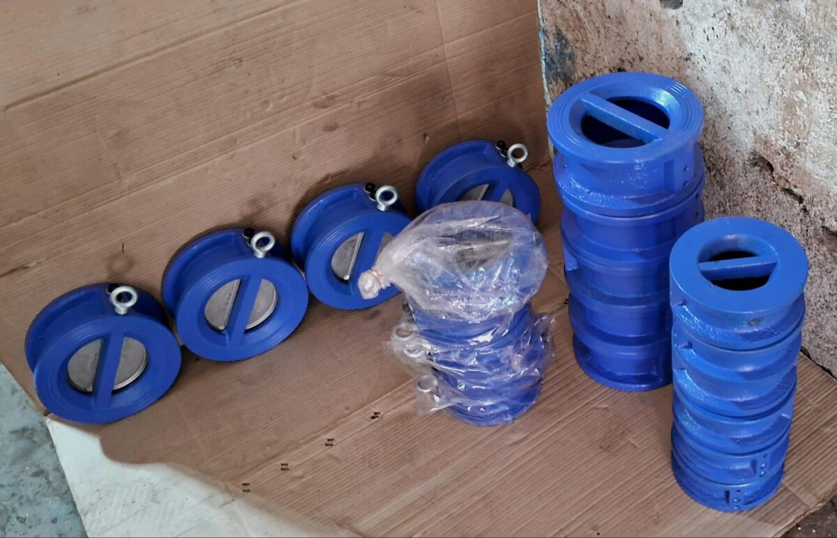 Dual Plate Check Valve Exporter from Gujarat, India