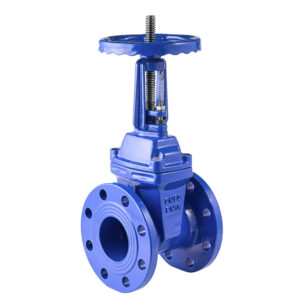 Rising Stem Resilient Seat Gate Valve Manufacturer, Supplier & Exporter from India Rising Stem Resilient Seat Gate Valve Manufacturer, Supplier & Exporter from India