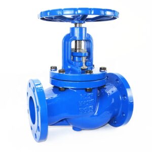 1-2206221200001O Cast Iron Flange Type Globe Valve