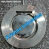 IMG-20260318-WA0009 Stainless Steel 304 Wafer Check Valve