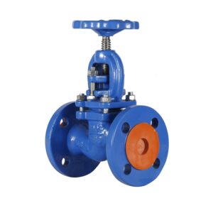 Picsart_26-02-02_19-03-48-995 Globe Valve