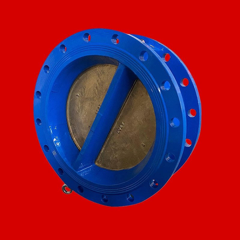 Cast Iron Dual Wafer Plate Check Valve Manufacturer in Ahmedabad, Gujarat - Kelor Valves