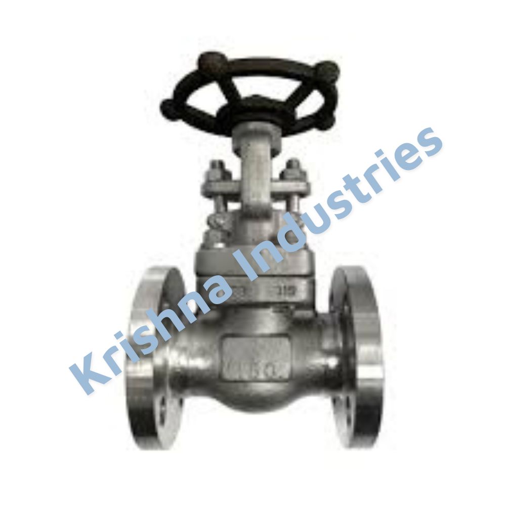 Stainless Steel 304 Gate Valve