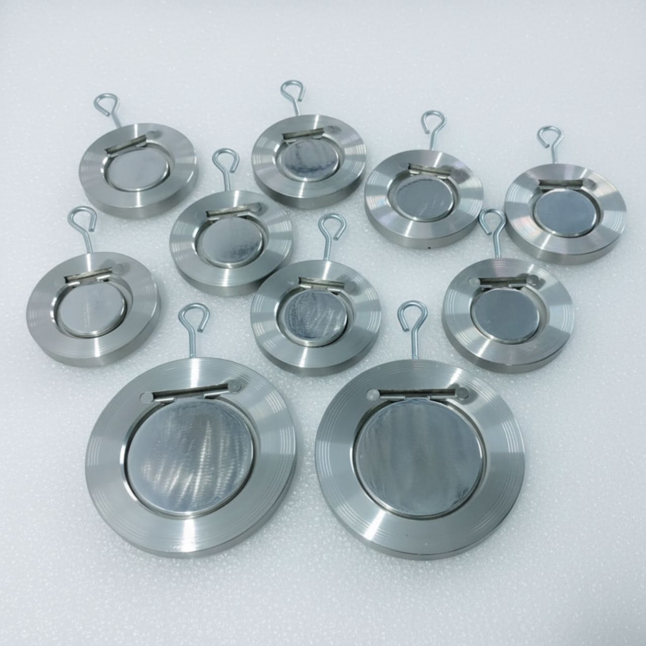 SS316 Stainless Steel Wafer Check Valve marine grade NRV India supplier