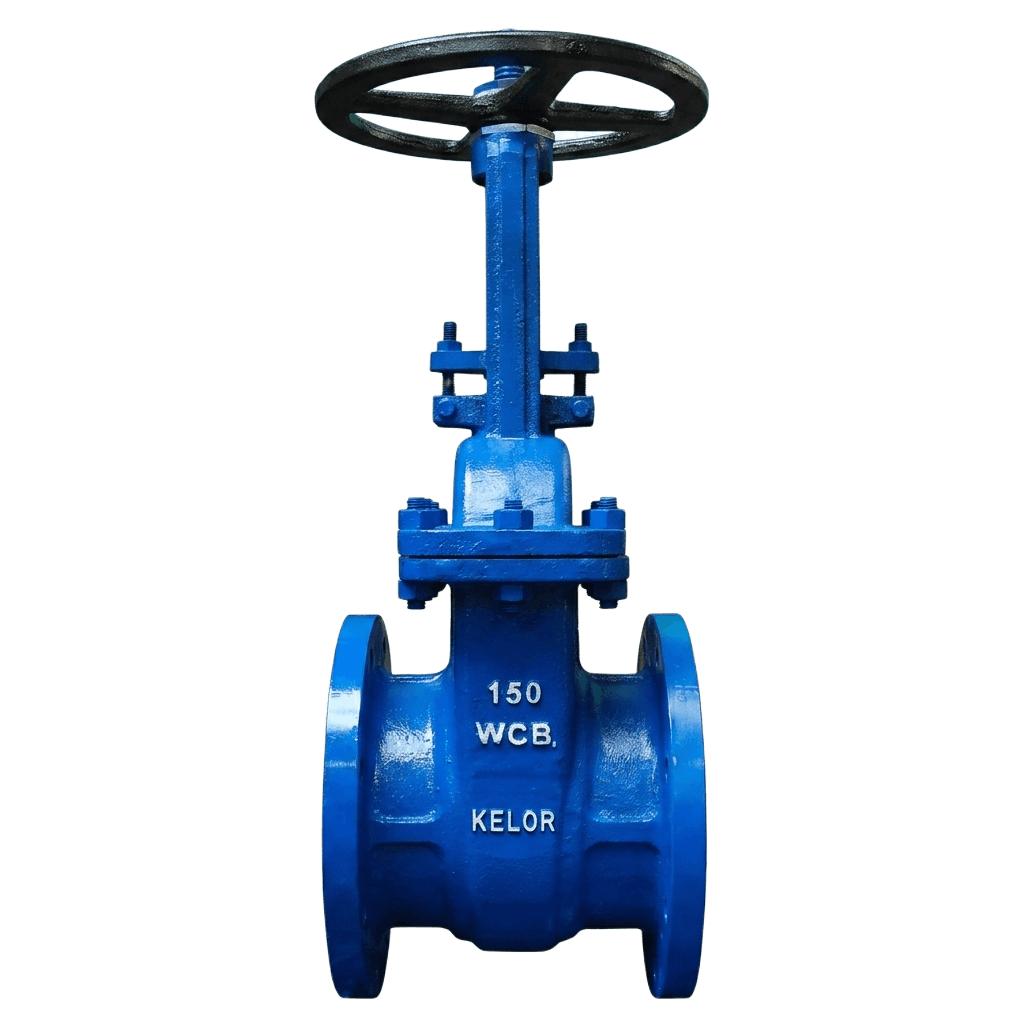 CS WCB Globe Valve 150# Price List and technical specifications by KELOR India